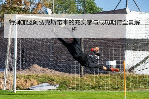 特狮加盟阿贾克斯带来的充实感与成功期待全景解析